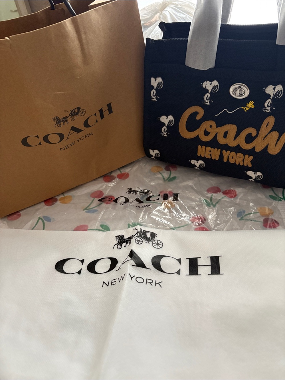 Coach Black Canvas Snoopy Tote w/Gift Bag, Dust Bag and COA! NWT - Picture 12 of 12